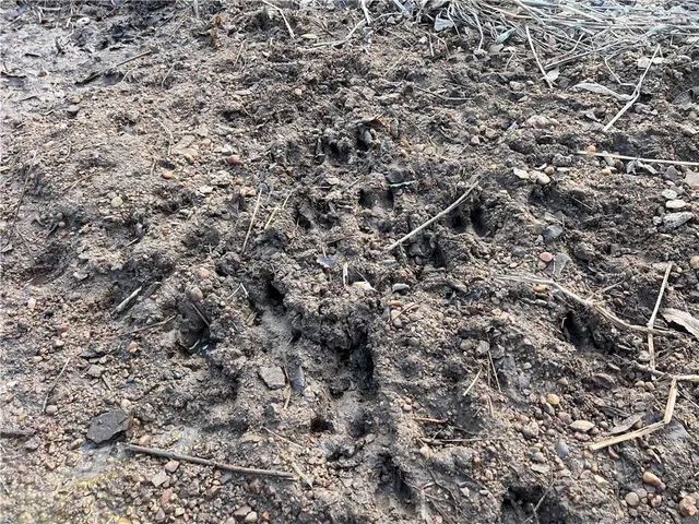 $320,000 | 1476 North 13th Street, Blackwell, OK 74631