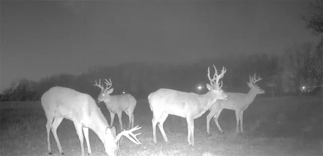 $320,000 | 1476 North 13th Street, Blackwell, OK 74631