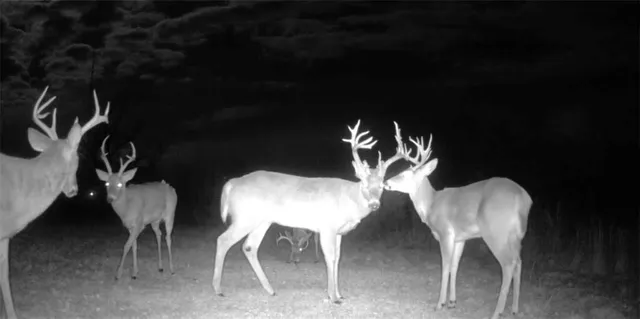 $320,000 | 1476 North 13th Street, Blackwell, OK 74631