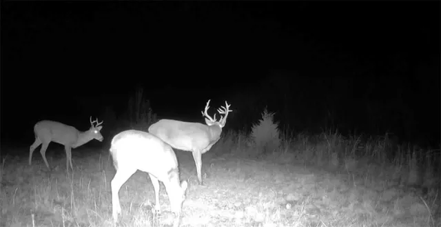 $320,000 | 1476 North 13th Street, Blackwell, OK 74631