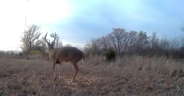 $320,000 | 1476 North 13th Street, Blackwell, OK 74631