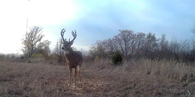 $320,000 | 1476 North 13th Street, Blackwell, OK 74631