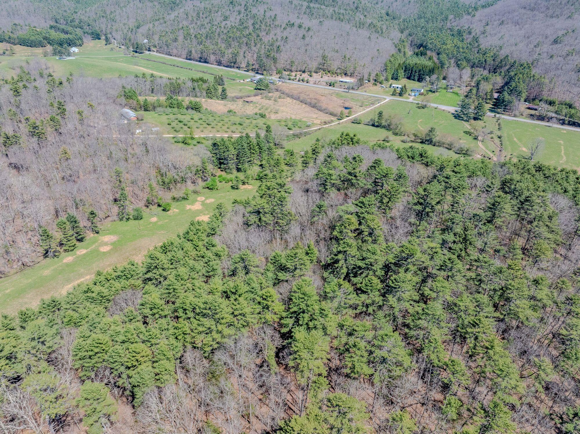 11085 Frost Road Marlinton, WV 24954 - Photo 30 of 64 Gallery Image 30