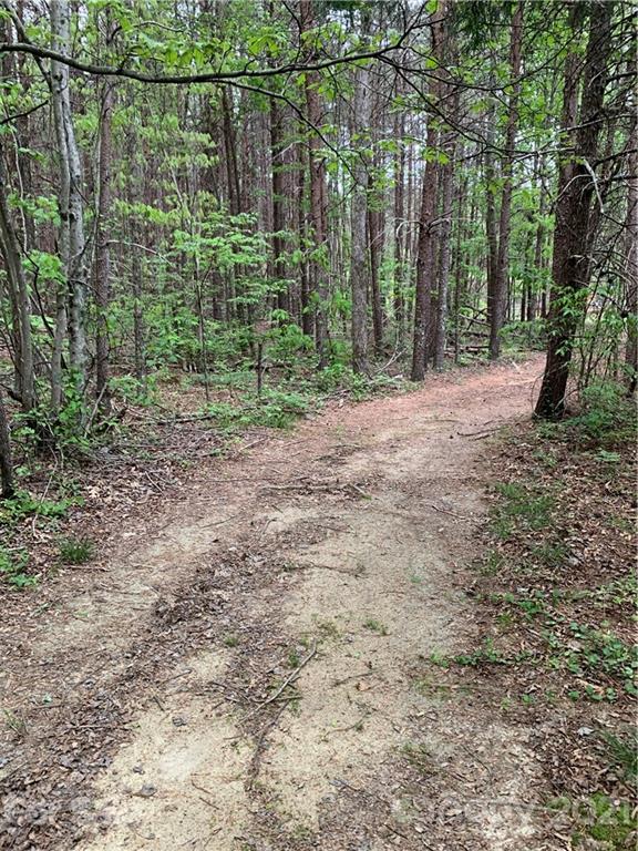 0 Basinger Kluttz Road Salisbury, NC 28146 - Photo 2 of 14 Gallery Image 2