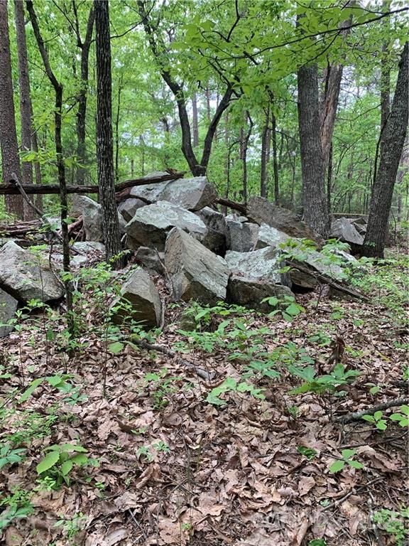 0 Basinger Kluttz Road Salisbury, NC 28146 - Photo 11 of 14 Gallery Image 11