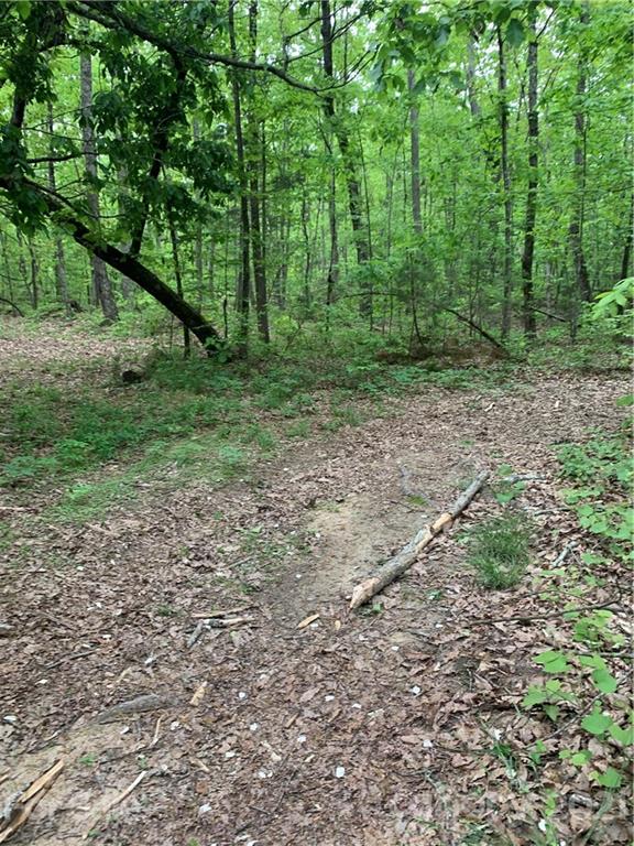 0 Basinger Kluttz Road Salisbury, NC 28146 - Photo 13 of 14 Gallery Image 13