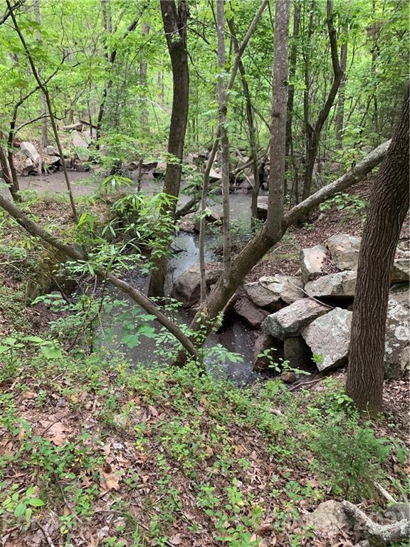 0 Basinger Kluttz Road Salisbury, NC 28146 - Photo 3 of 14 Gallery Image 3