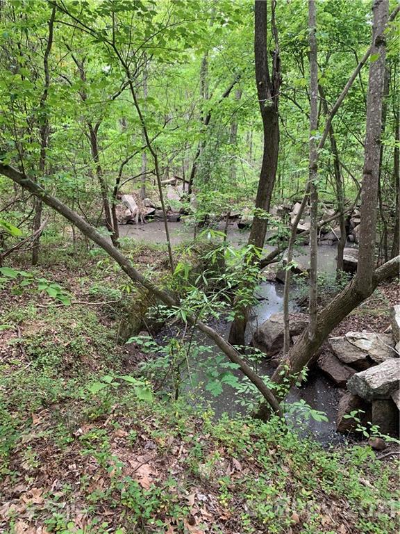 0 Basinger Kluttz Road Salisbury, NC 28146 - Photo 4 of 14 Gallery Image 4
