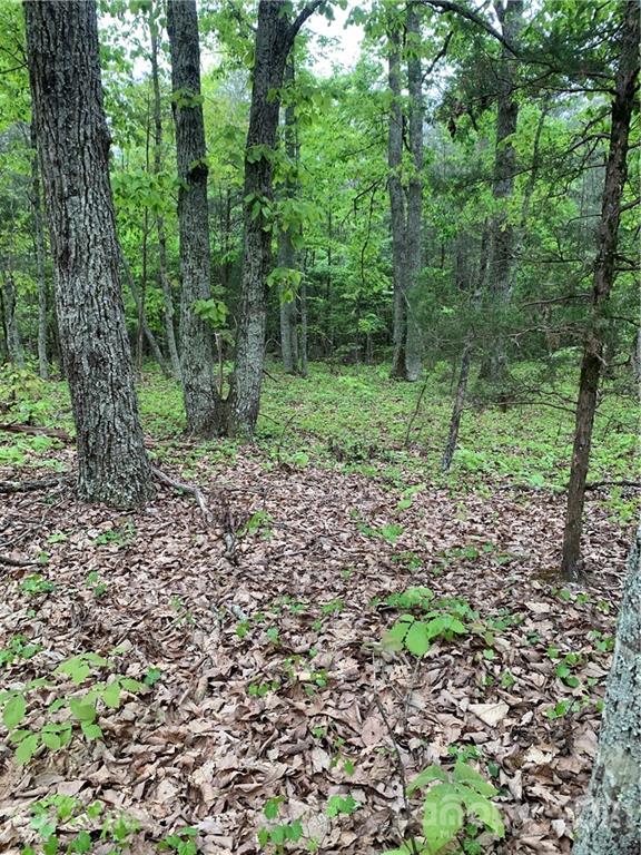 0 Basinger Kluttz Road Salisbury, NC 28146 - Photo 5 of 14 Gallery Image 5