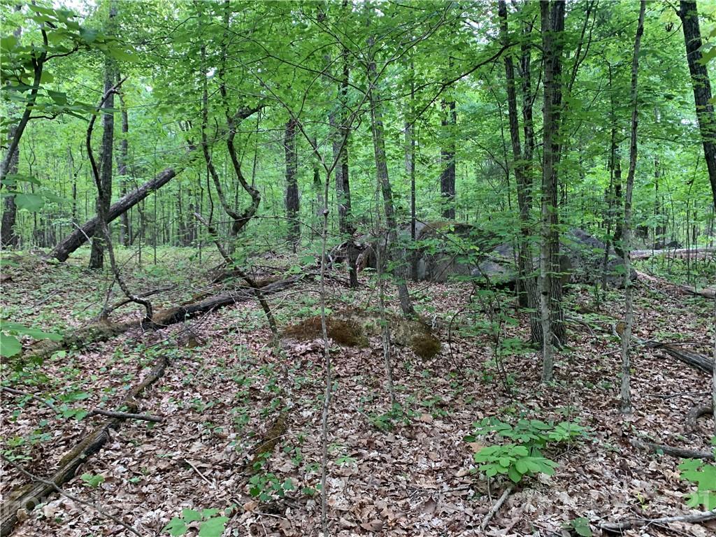 0 Basinger Kluttz Road Salisbury, NC 28146 - Photo 6 of 14 Gallery Image 6
