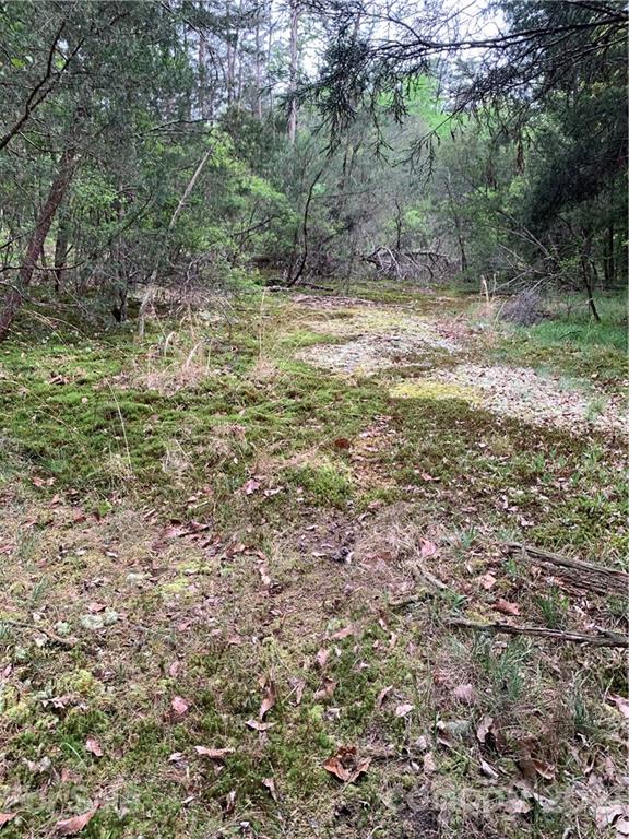 0 Basinger Kluttz Road Salisbury, NC 28146 - Photo 8 of 14 Gallery Image 8
