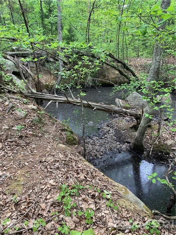 0 Basinger Kluttz Road Salisbury, NC 28146 - Photo 9 of 14 Gallery Image 9