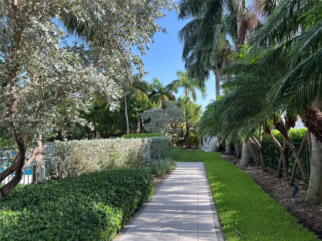 a view of a park with plants and trees
