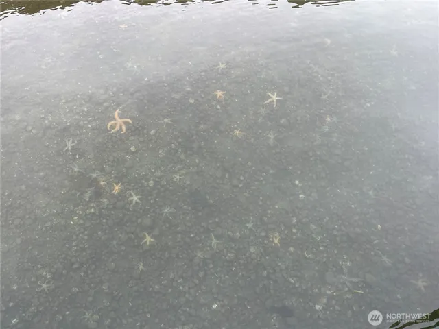 a backyard of a house with lots of furniture and a fireplace