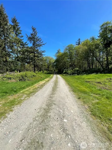 a view of a grassy field with trees