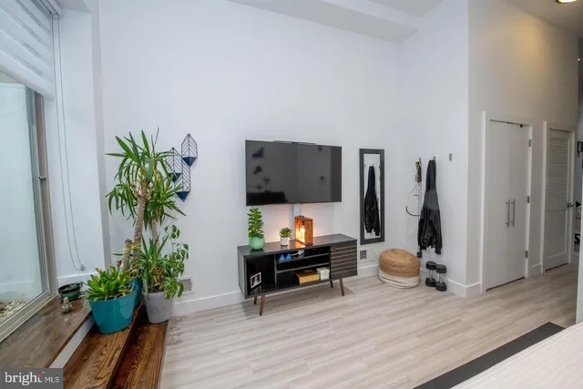 a living room with furniture gym equipment and a potted plant