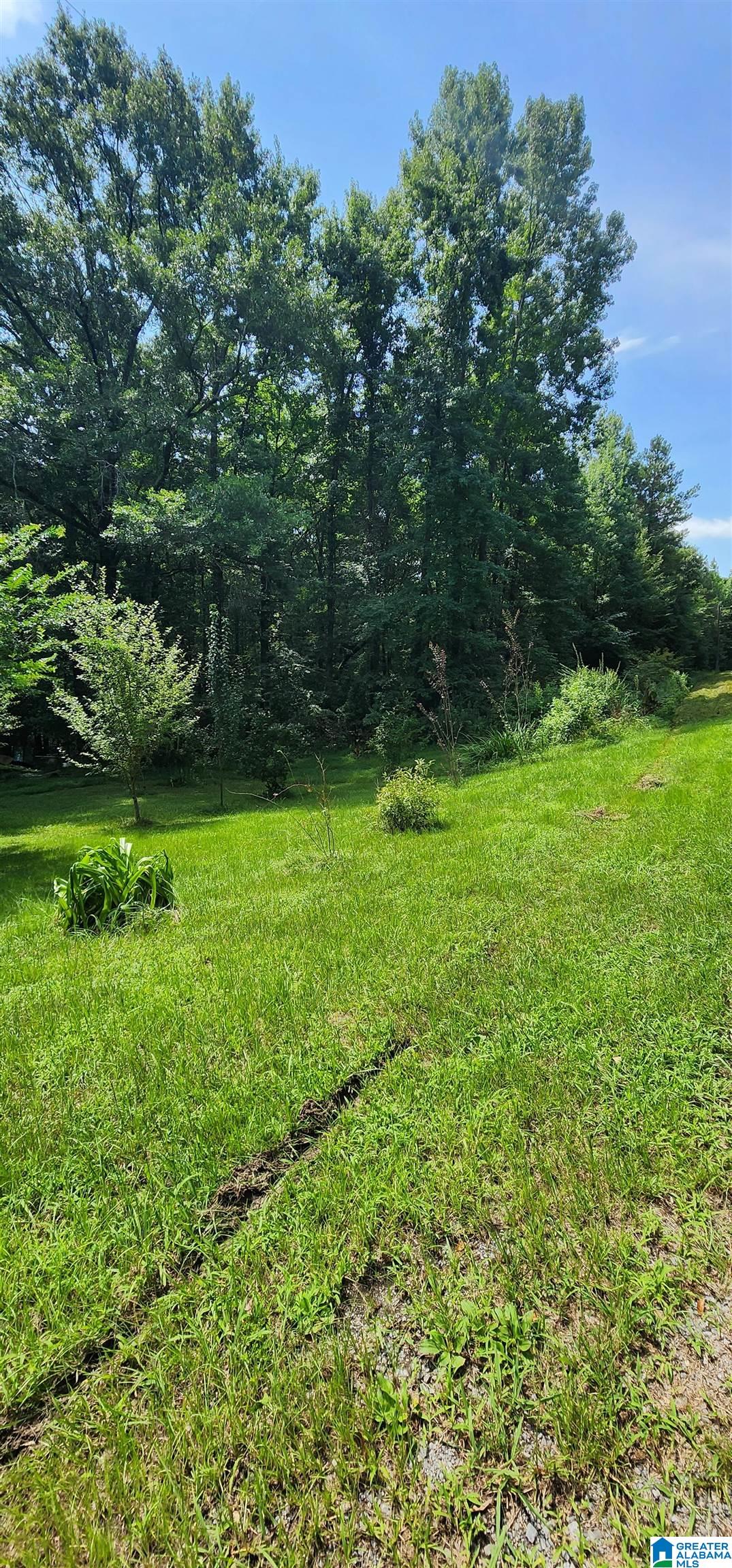 2175 Gaines Road Altoona, AL 35952 - Photo 7 of 14
