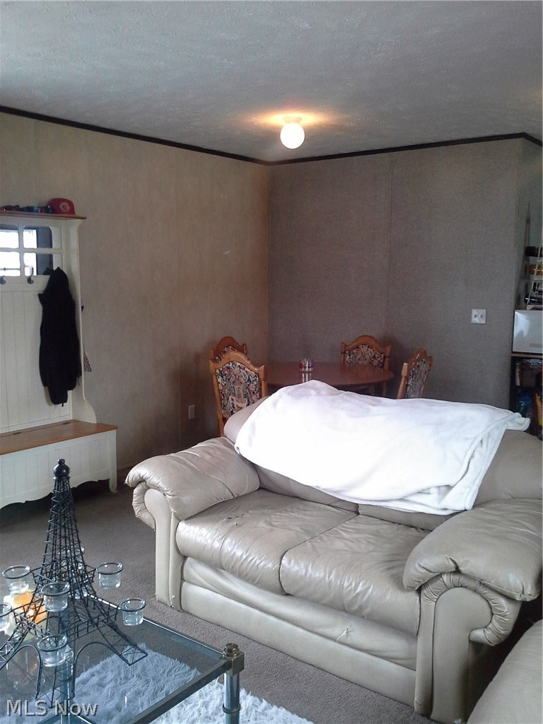 11080 Leader Road Chardon, OH 44024 - Photo 4 of 26 Gallery Image 4