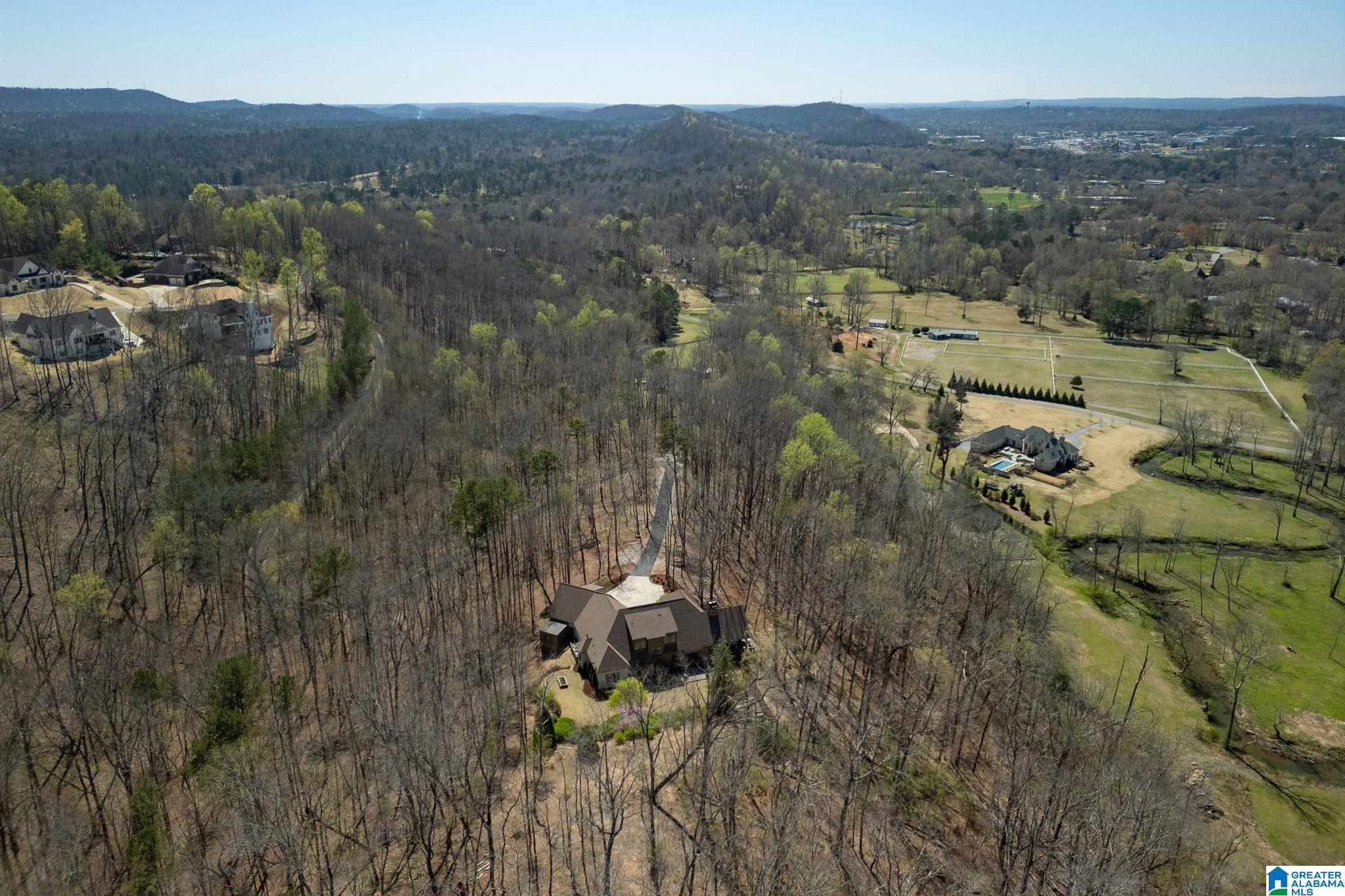 1045 Stagg Run Trail Pelham, AL 35124 - Photo 62 of 68