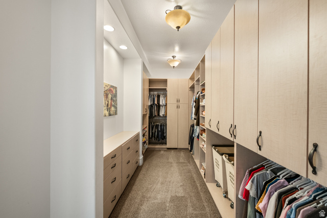 1205 North Elk Rdg Lane, Unit 202 Alpine, UT 84004 - Photo 32 of 88 Custom walk-in closet featuring extensive built-in cabinetry, integrated drawers, recessed lighting, and ceiling-mounted fixtures
