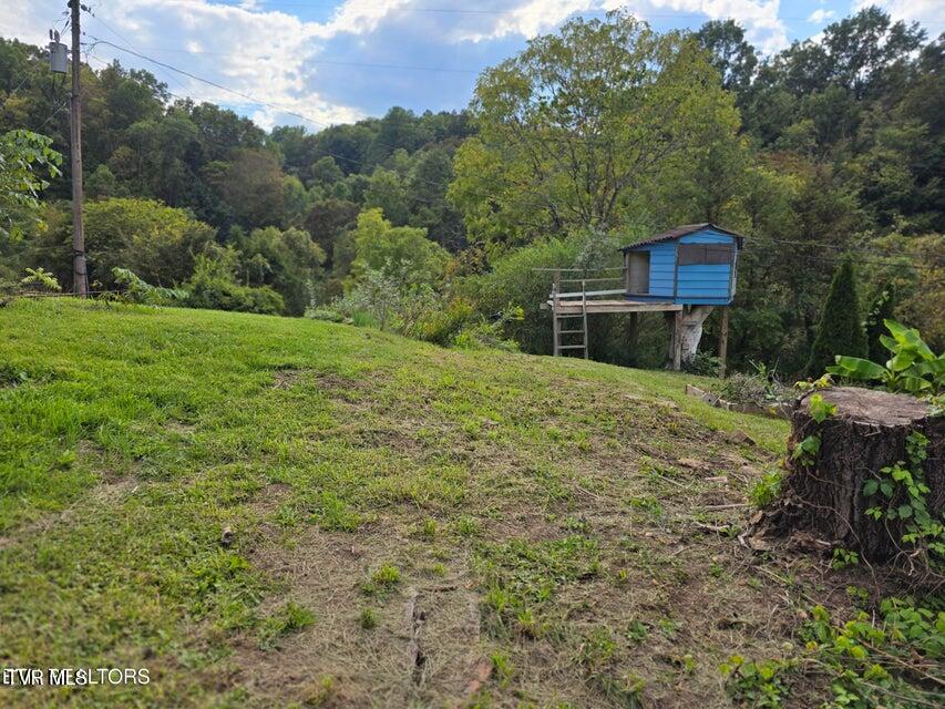197 Wolfe Road Sneedville, TN 37869 - Photo 45 of 60 45