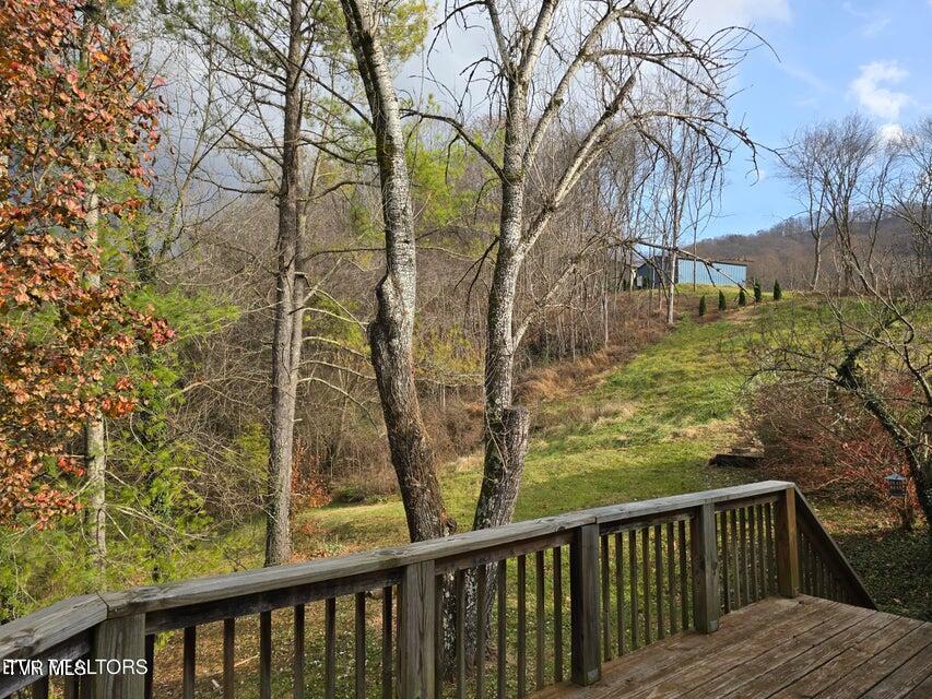 197 Wolfe Road Sneedville, TN 37869 - Photo 8 of 60 8