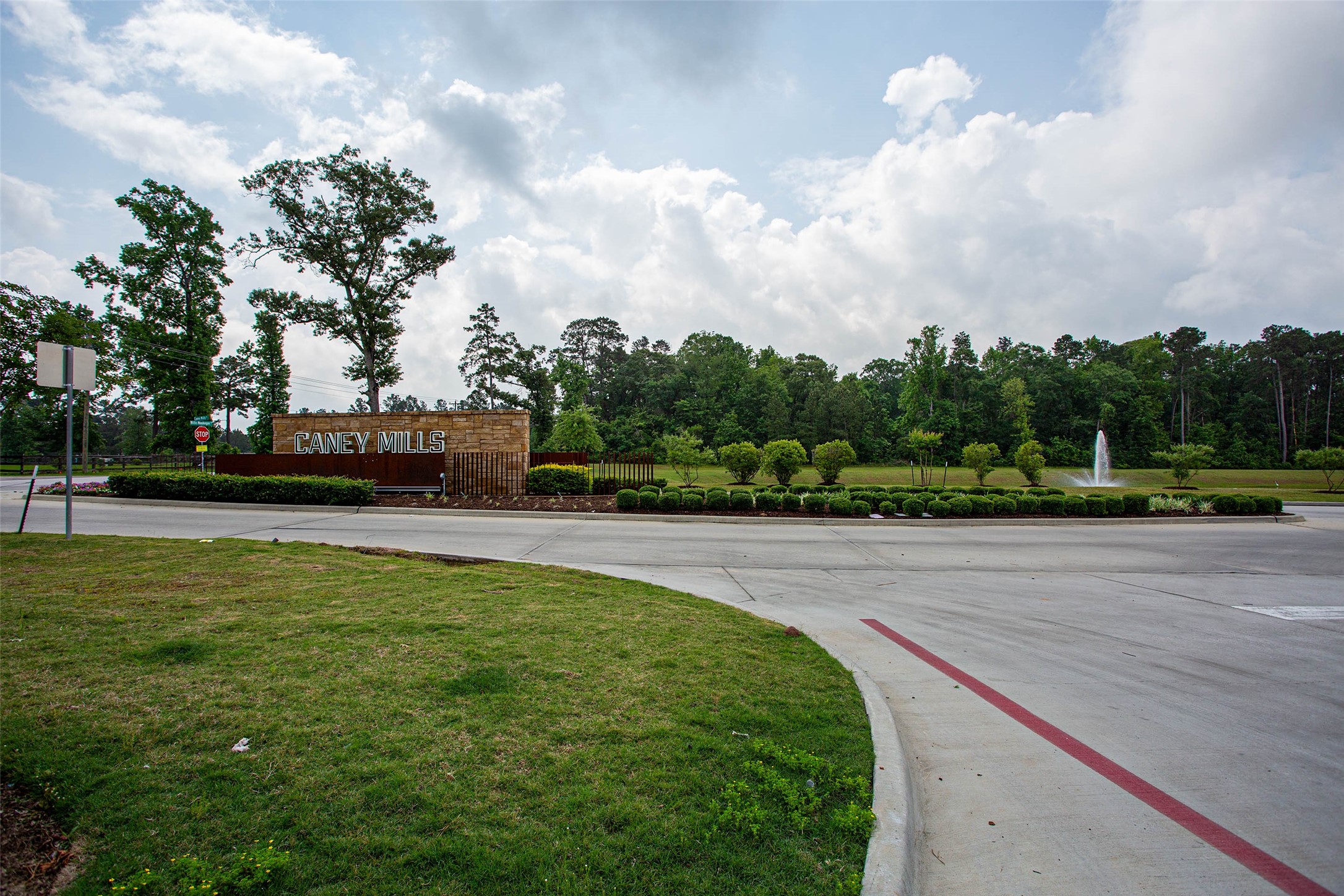 14212 Shasta Ridge Drive Conroe, TX 77303 - Photo 19 of 21 a view of swimming pool with a yard