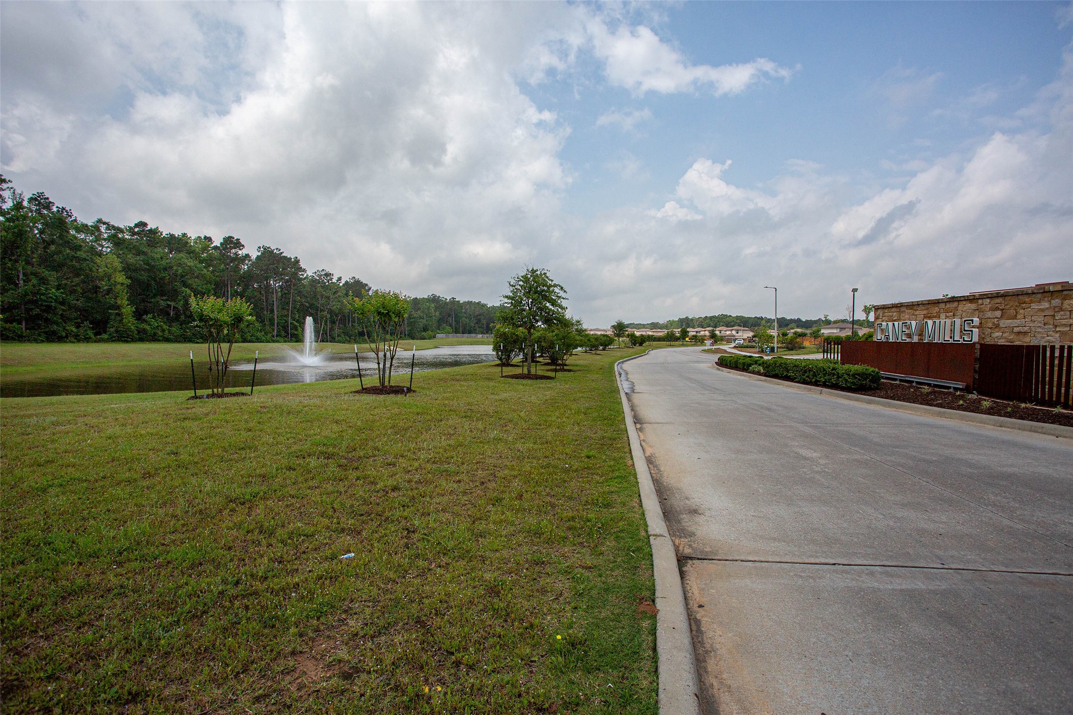 14212 Shasta Ridge Drive Conroe, TX 77303 - Photo 20 of 21 a view of a lake with a big yard