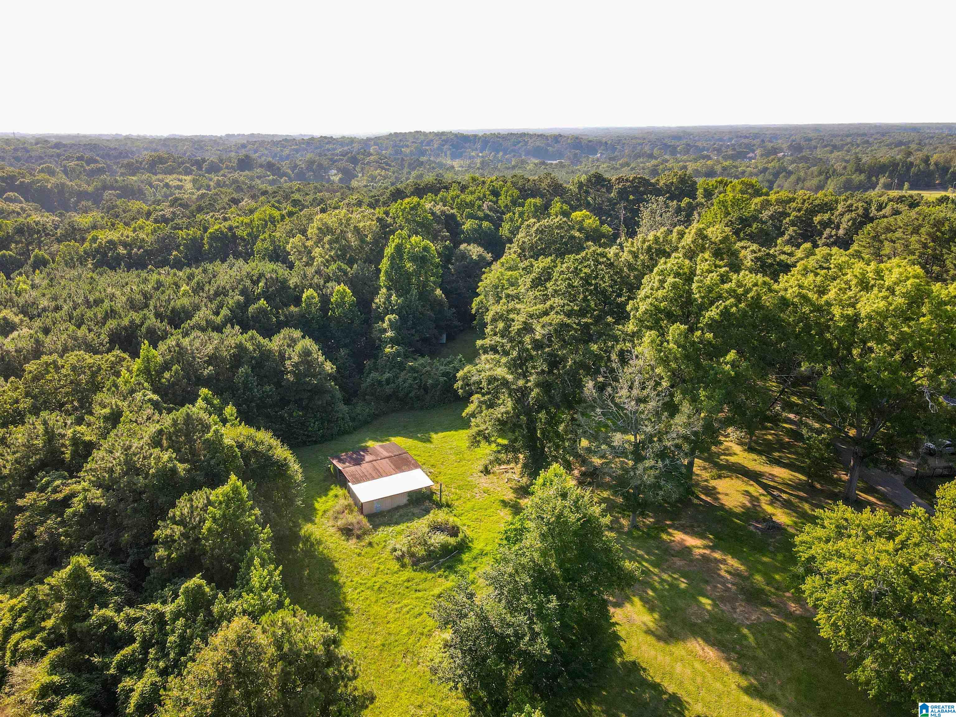 0 Aaron Road Jasper, AL 35501 - Photo 12 of 44