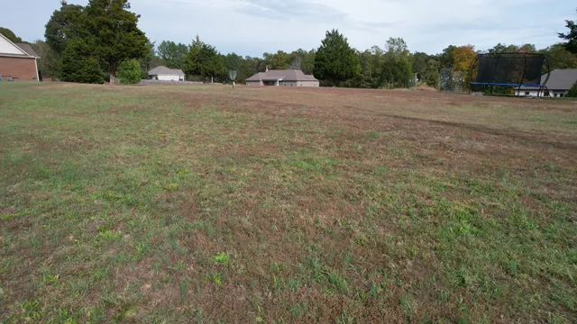 a view of a field with trees in background