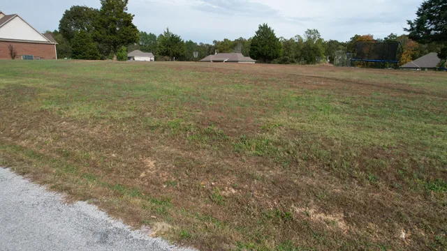 a view of a field with trees in background