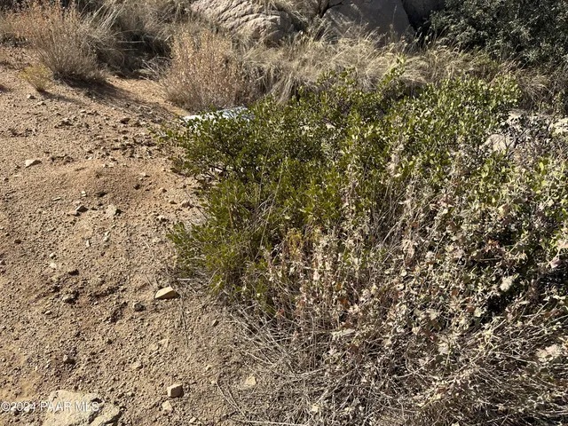 $59,000 | 2 Ambassador, Dewey, AZ 86327