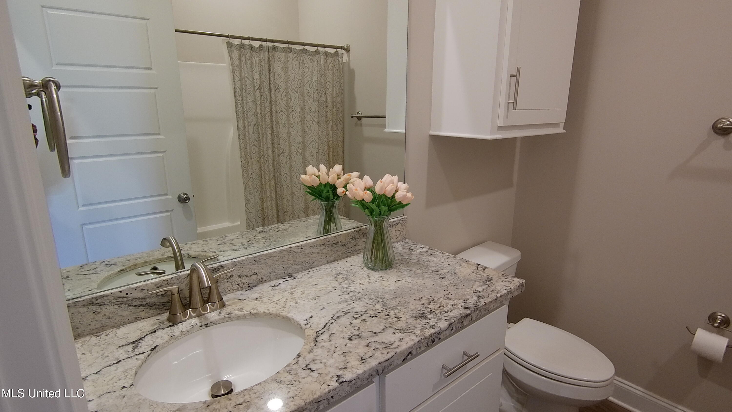 705 Heartwood Lane Brandon, MS 39042 - Photo 12 of 20 Bathroom #2 Heartwood