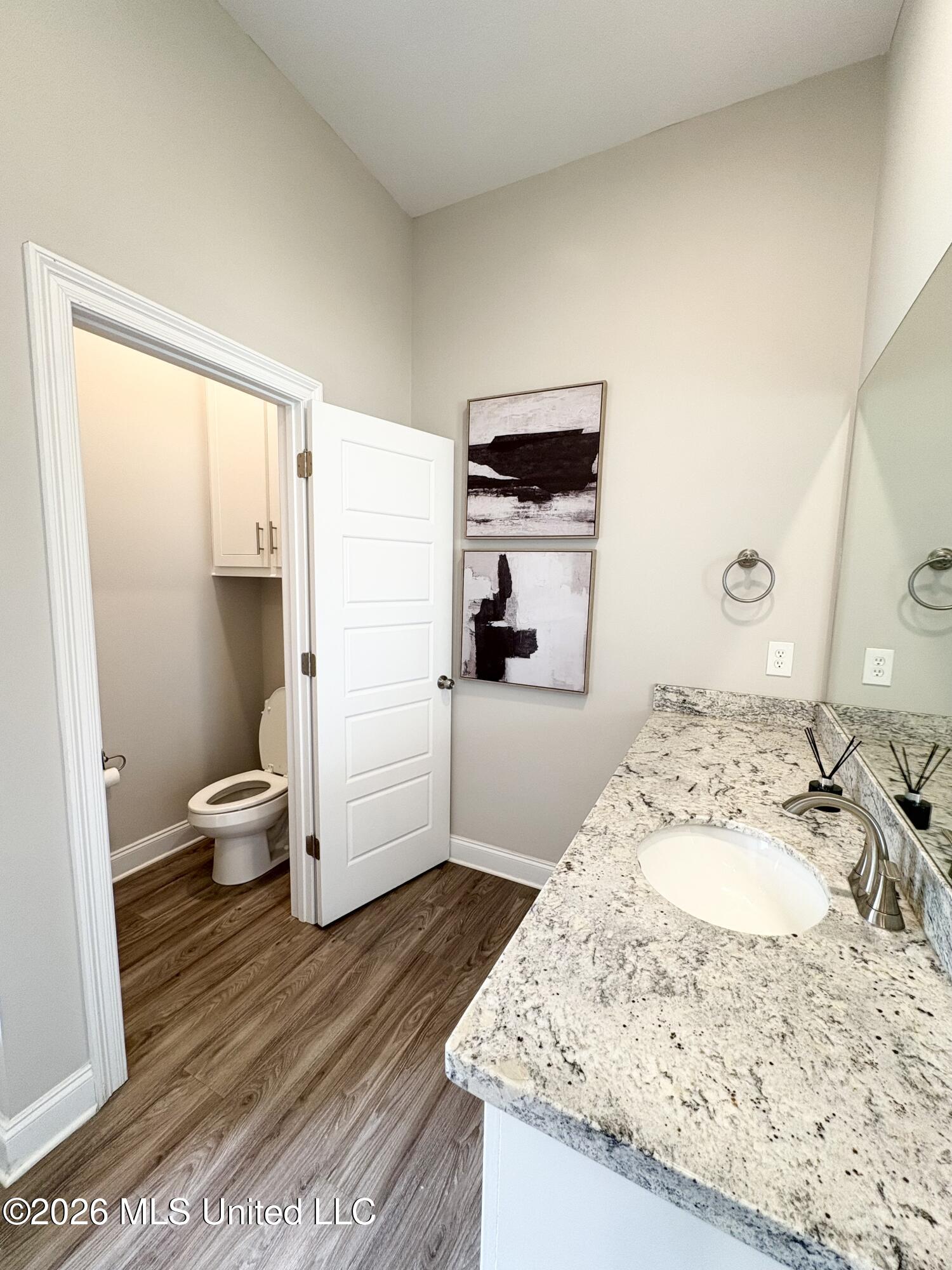 705 Heartwood Lane Brandon, MS 39042 - Photo 14 of 21 Master Bath