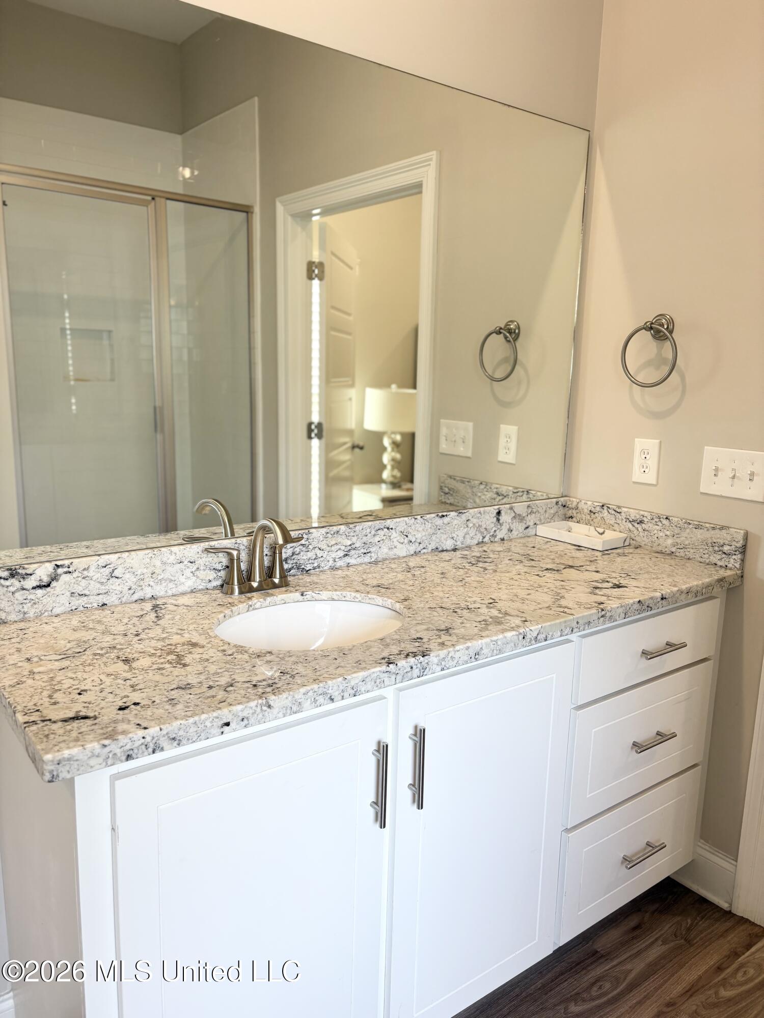 705 Heartwood Lane Brandon, MS 39042 - Photo 16 of 21 Master Bathroom