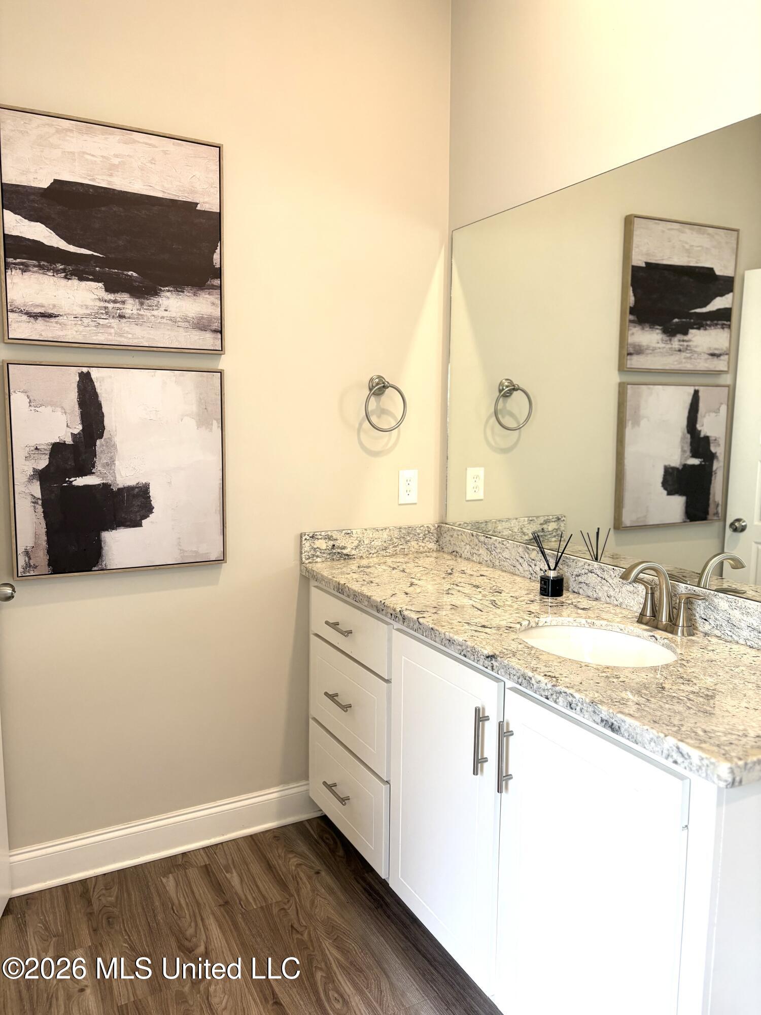 705 Heartwood Lane Brandon, MS 39042 - Photo 17 of 21 Master Bathroom