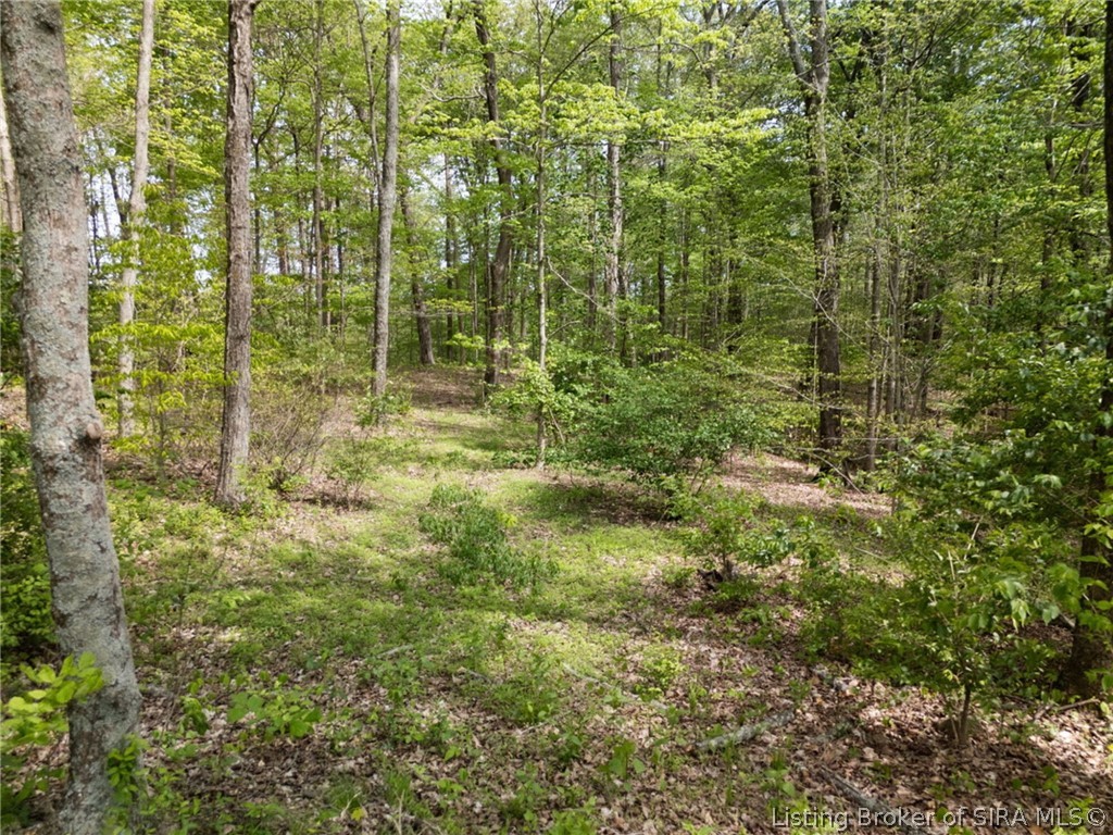 Rogers Campground Road Elizabeth, IN 47117 - Photo 27 of 46 Gallery Image 27