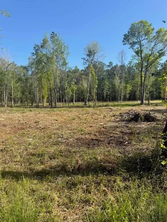 $59,900 | Tbd Pauley Swamp Road, Conway, SC 29527