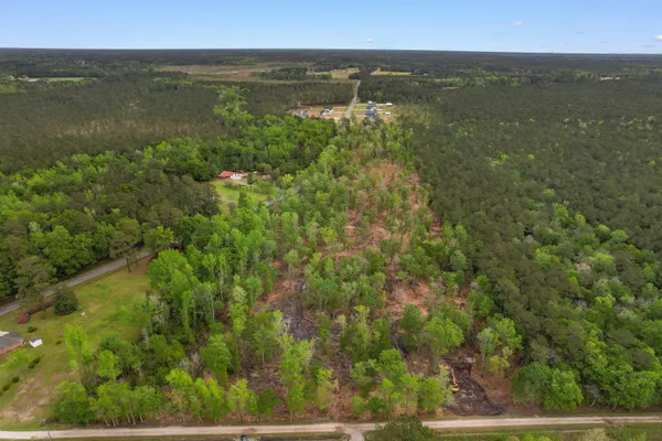 $59,900 | Tbd Pauley Swamp Road, Conway, SC 29527