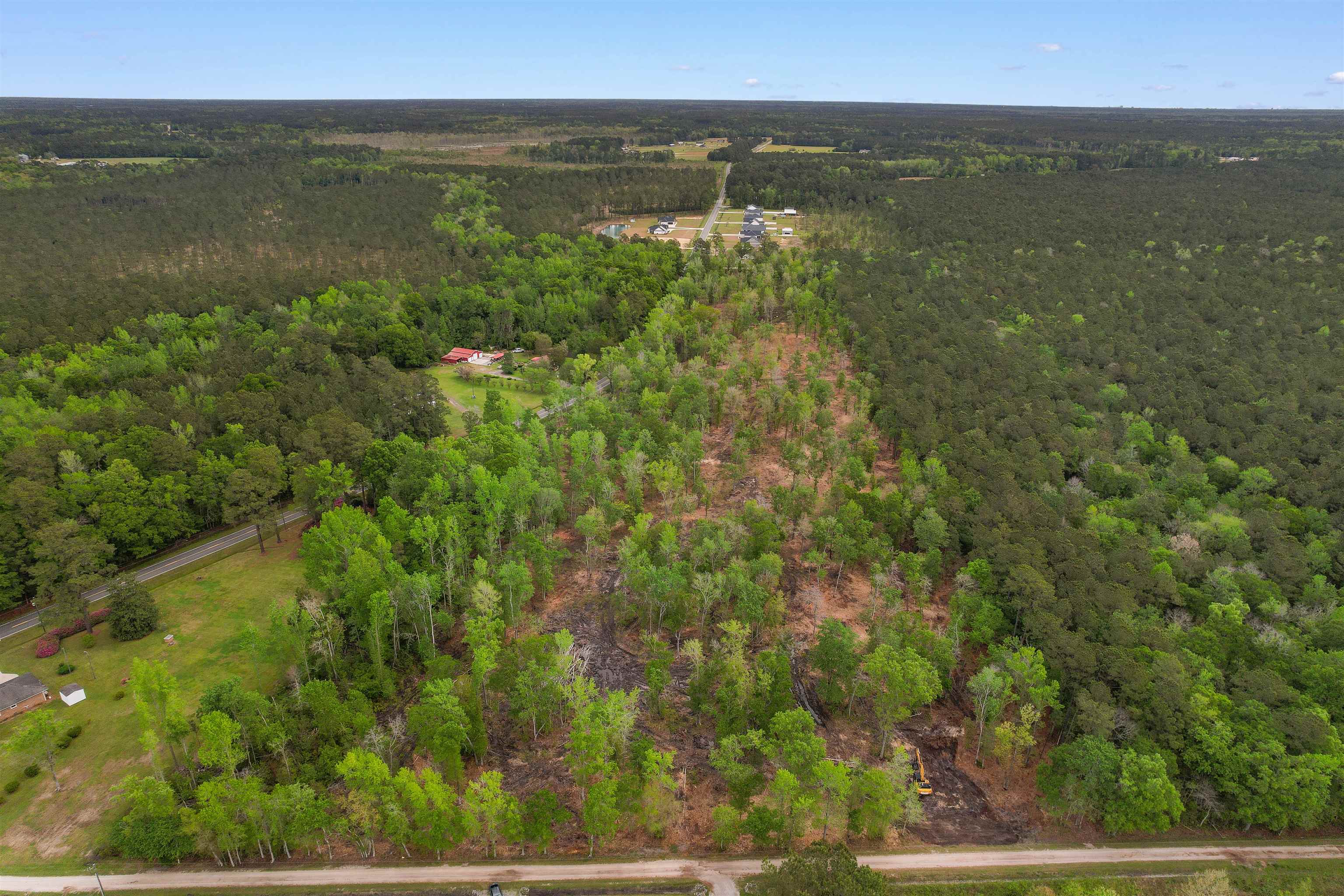 Tbd Pauley Swamp Road Conway, SC 29527 - Photo 2 of 7