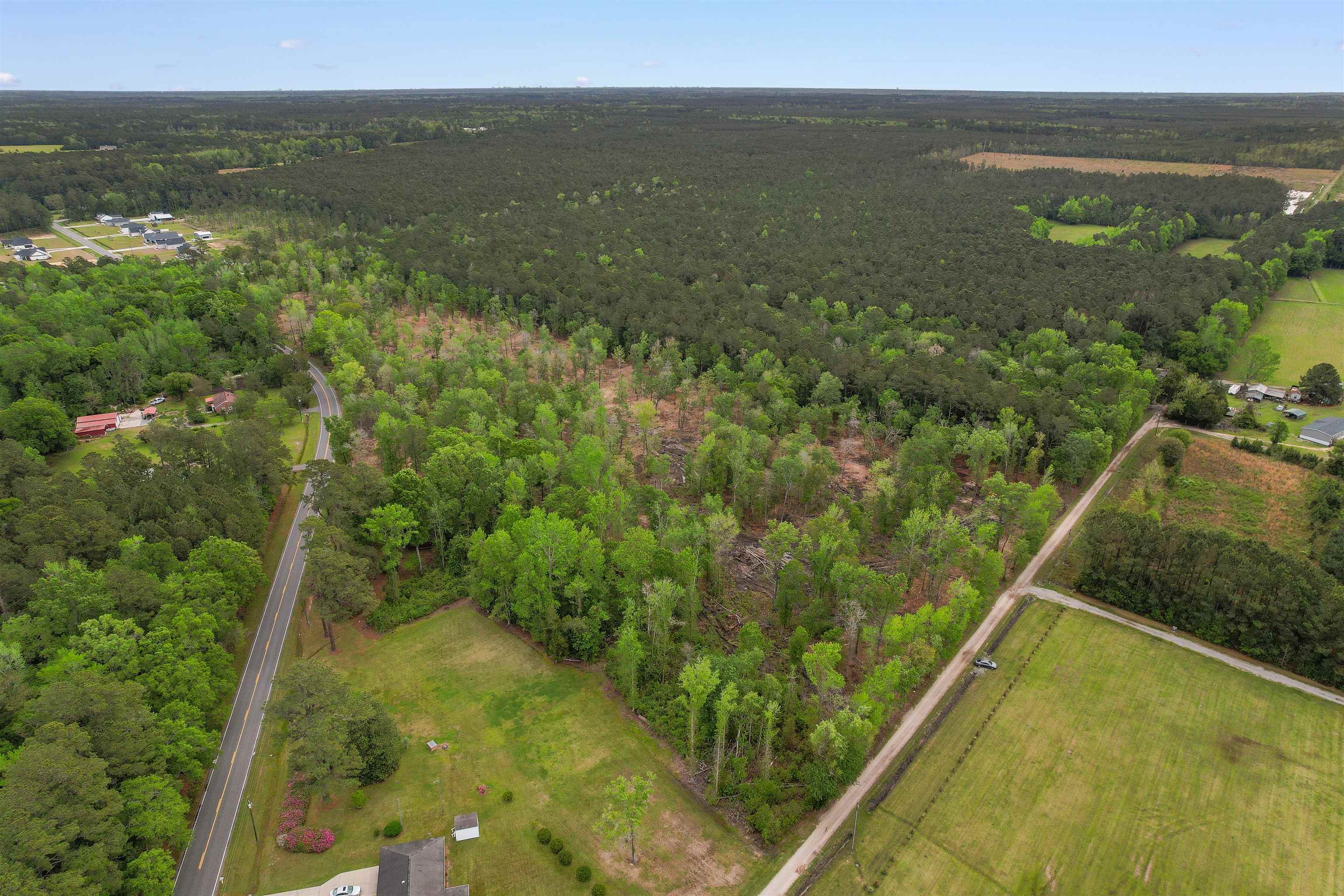 Tbd Pauley Swamp Road Conway, SC 29527 - Photo 3 of 7