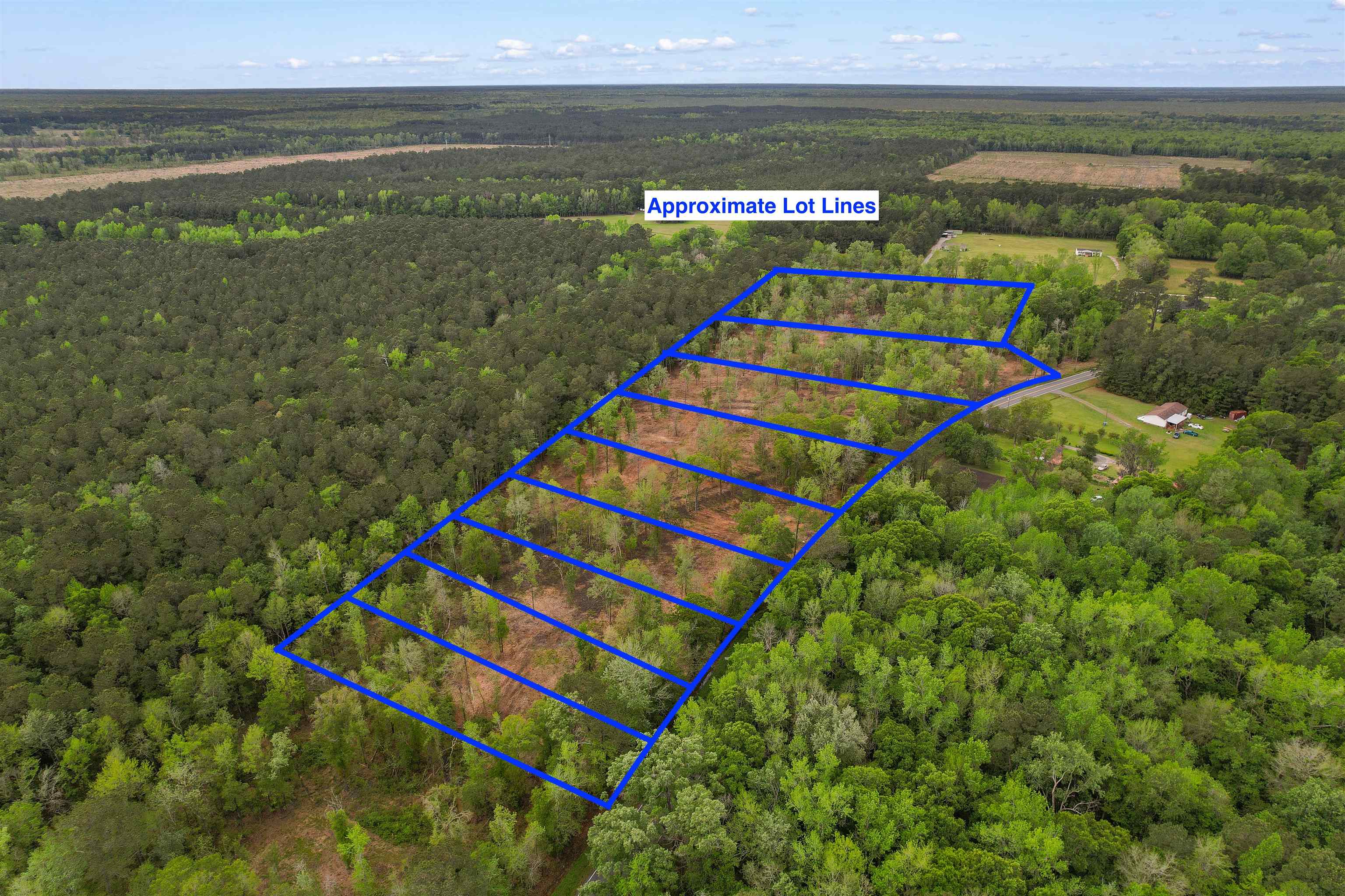 Tbd Pauley Swamp Road Conway, SC 29527 - Photo 4 of 7