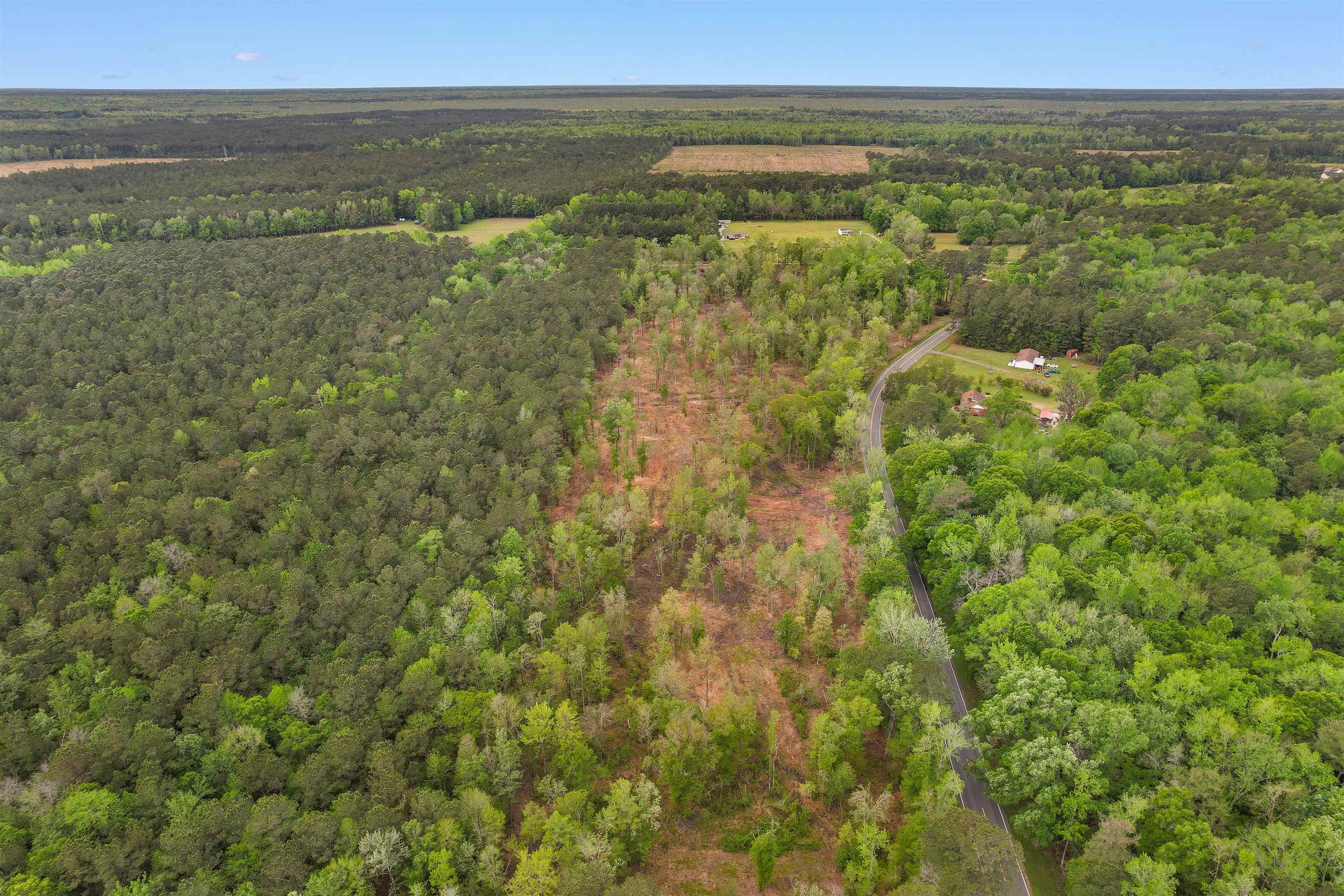 Tbd Pauley Swamp Road Conway, SC 29527 - Photo 5 of 7