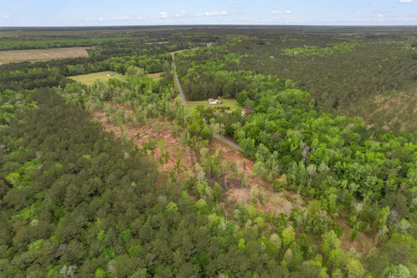 $59,900 | Tbd Pauley Swamp Road, Conway, SC 29527