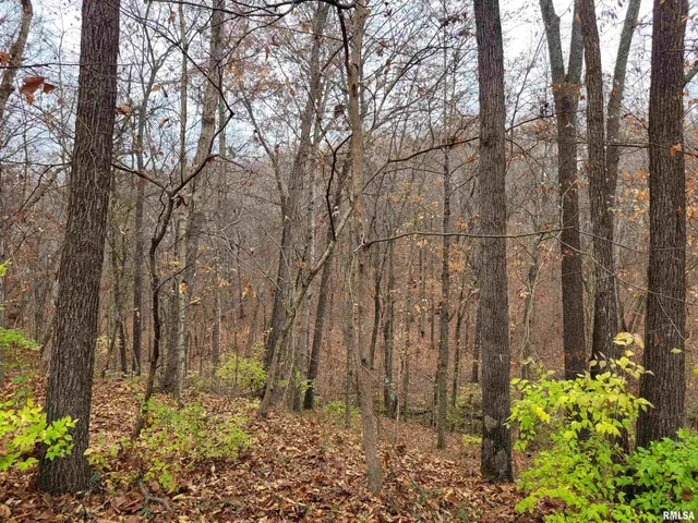 $300,000 | 19650 North Pisque Lane, Woodlawn, IL 62898