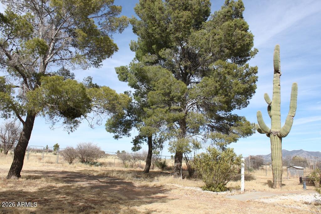28401 South Rain Valley Road Elgin, AZ 85611 - Photo 46 of 53 IMG_9164