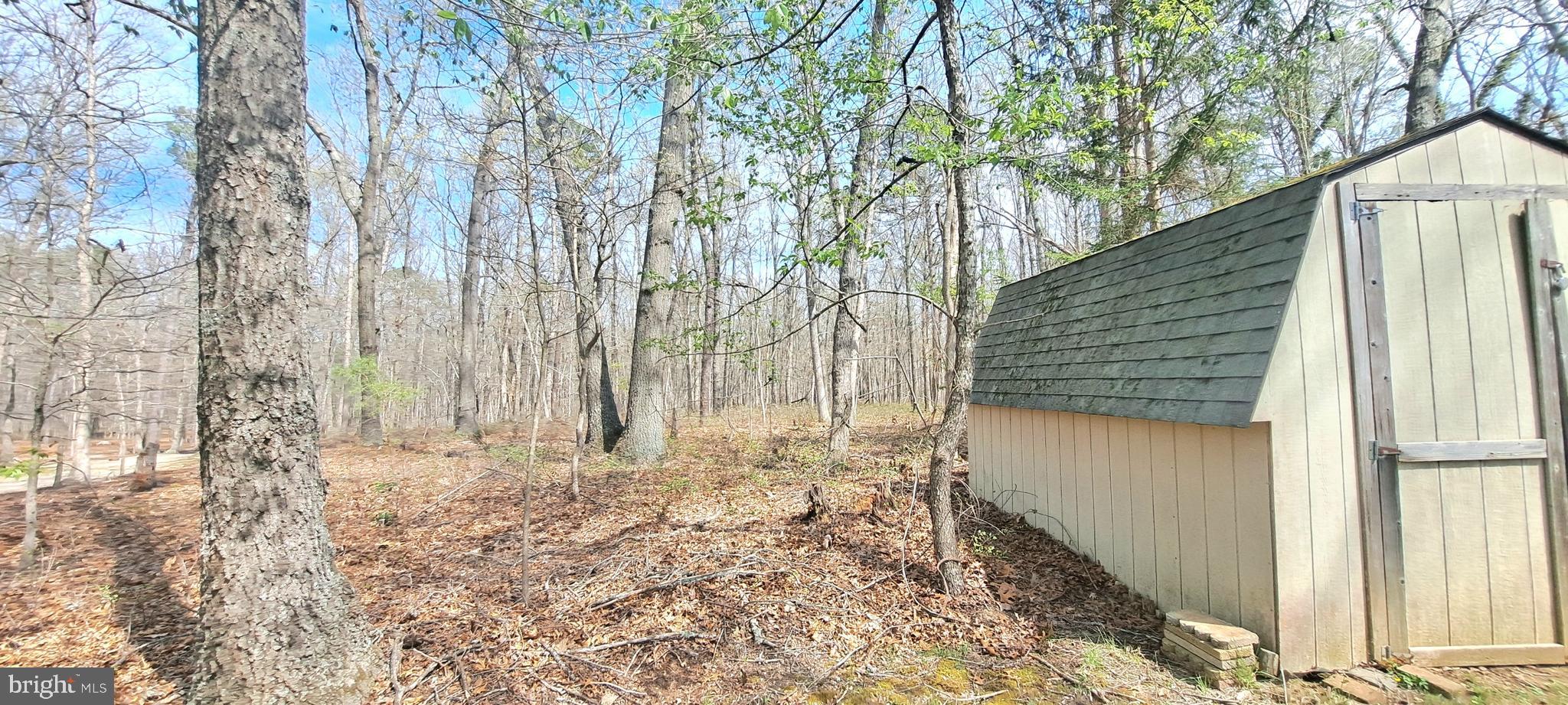246 Main Avenue Milmay, NJ 08340 - Photo 47 of 47 REAR YARD