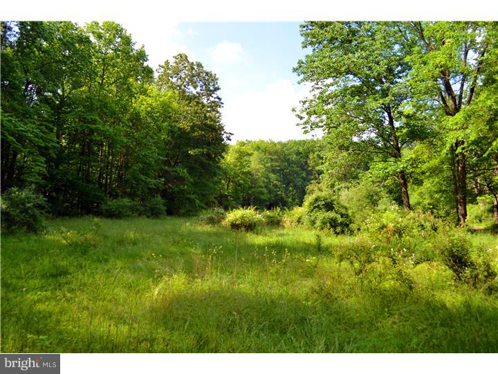 292 B Thompson Mill Road New Hope, PA 18938 - Photo 3 of 13