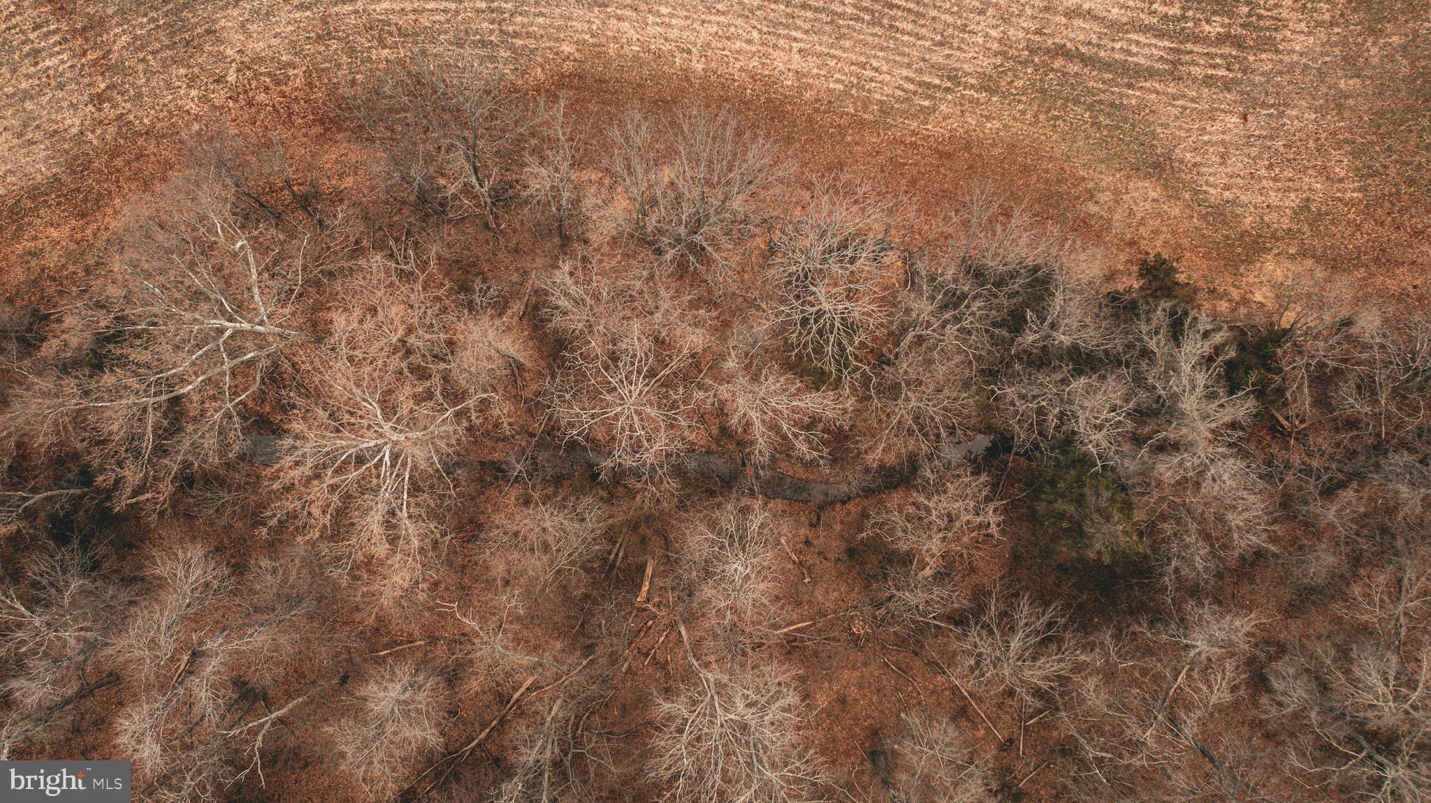 Tbd Ellis Road Lignum, VA 22726 - Photo 11 of 62 a view of a yard