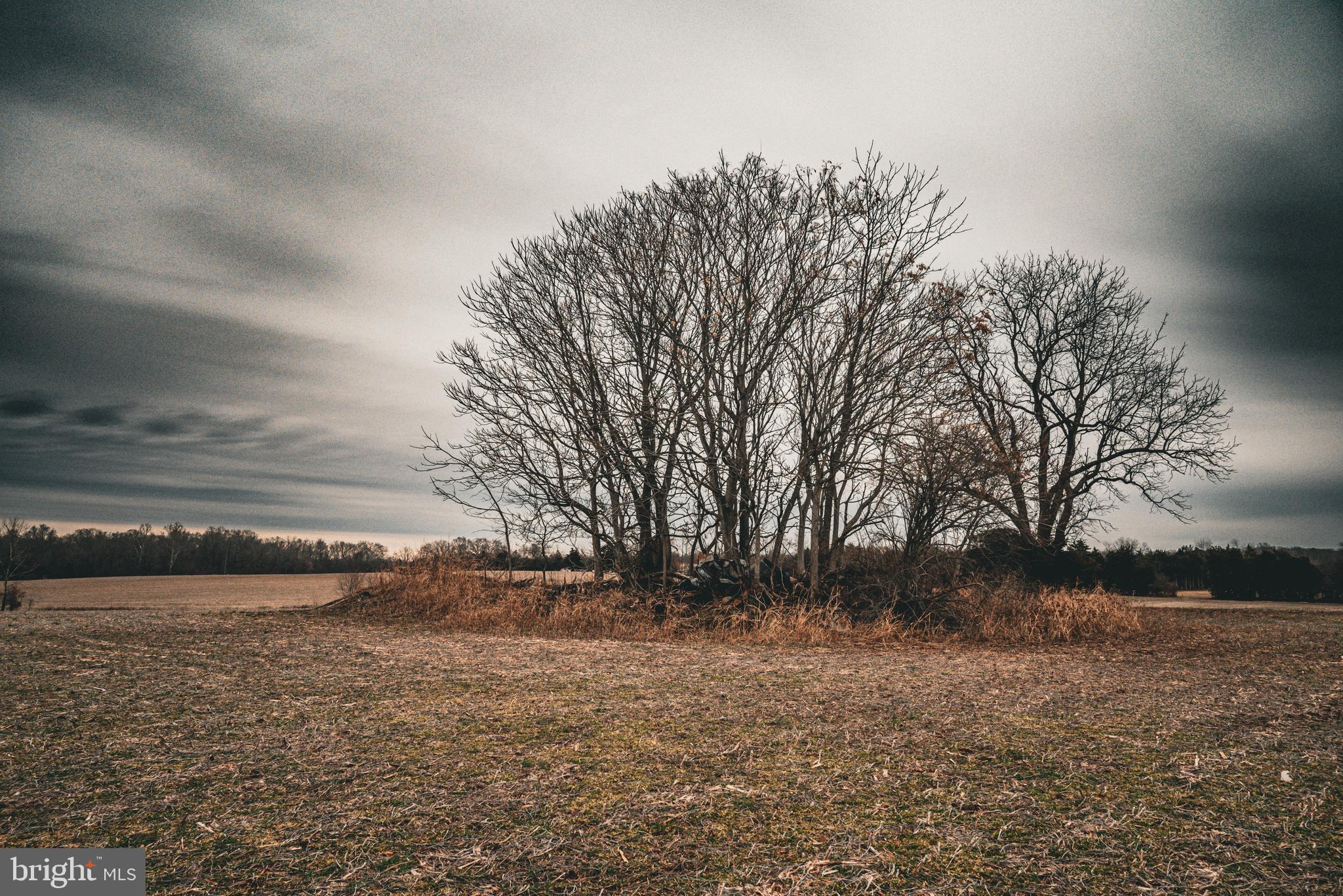 Tbd Ellis Road Lignum, VA 22726 - Photo 18 of 62 a view of outdoor space with deck and yard